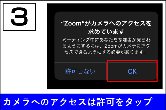 Zoom_STEP3-100