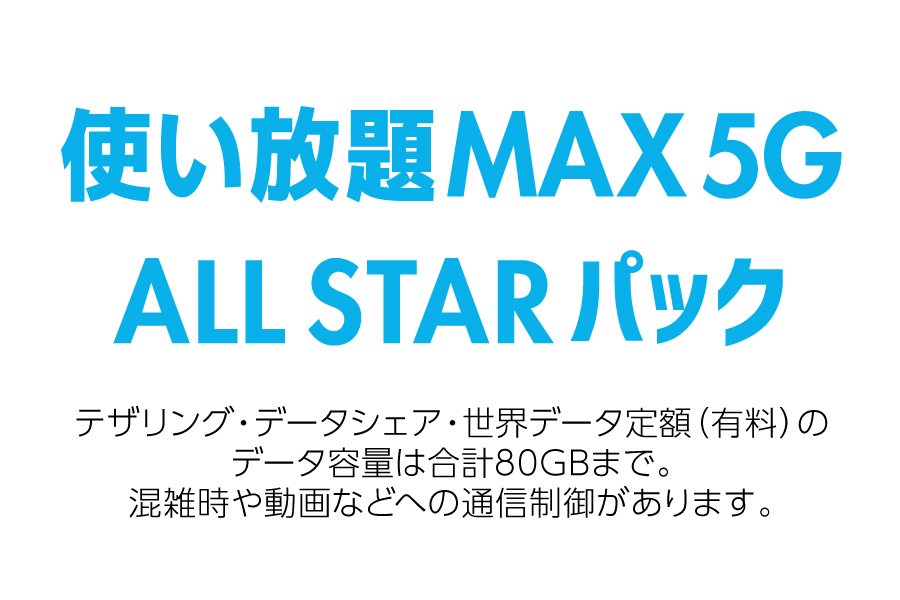 使い放題MAX5G