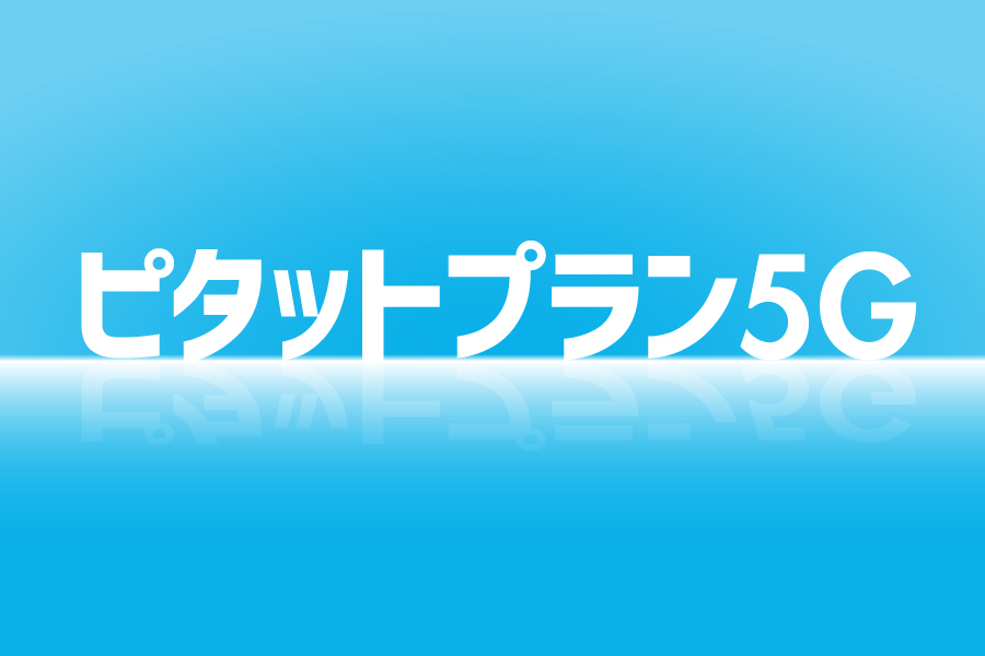 ピタットプラン5G_お得な料金プラン_【21年4月～】携帯・スマホを購入したい